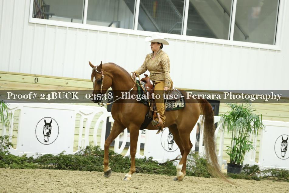 Proof 24BUCK_03538
