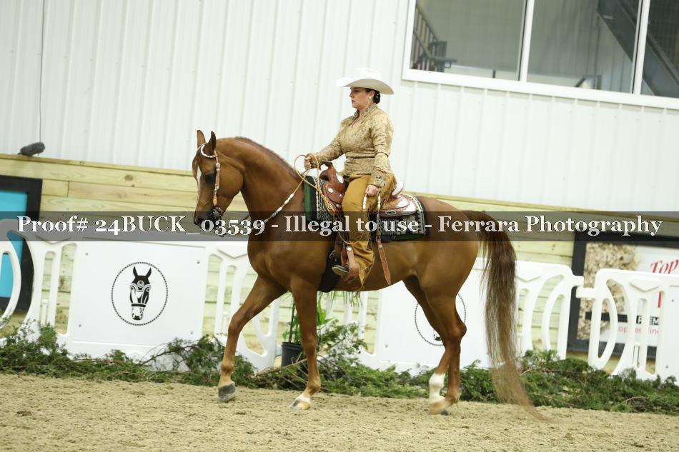 Proof 24BUCK_03539