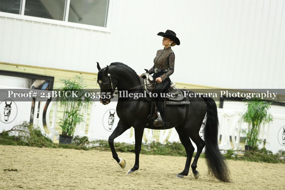 Proof 24BUCK_03555