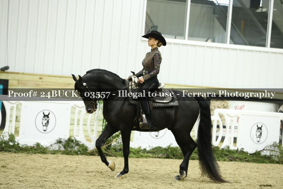 Proof 24BUCK_03557