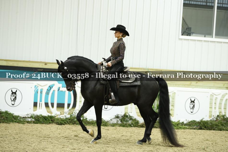 Proof 24BUCK_03558