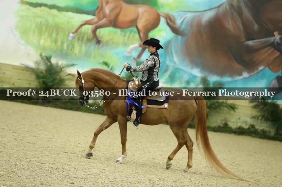 Proof 24BUCK_03580