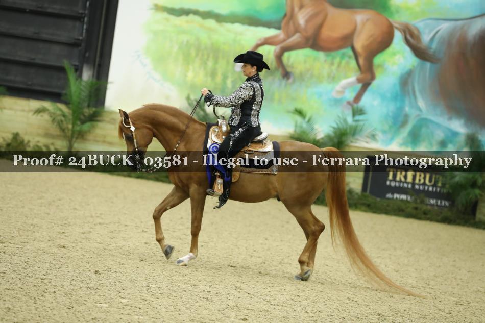 Proof 24BUCK_03581