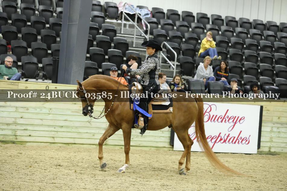 Proof 24BUCK_03585