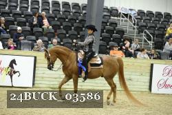 24BUCK_03586 proof