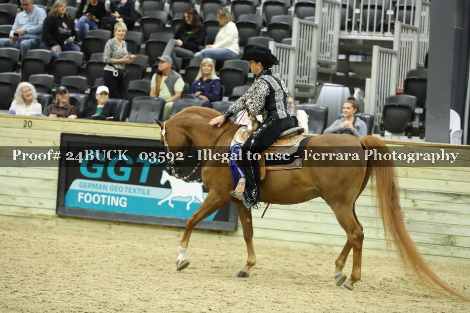 Proof 24BUCK_03592