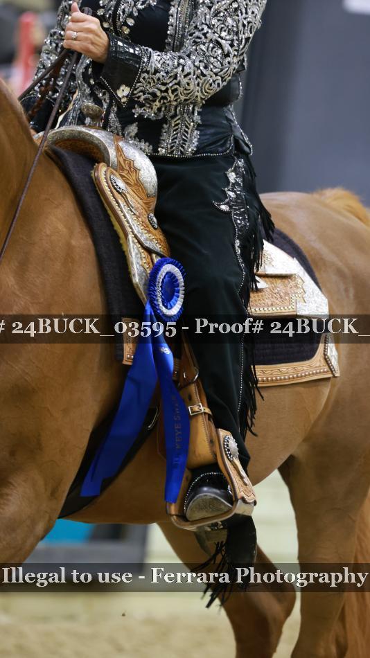 Proof 24BUCK_03595