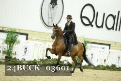 24BUCK_03601 proof