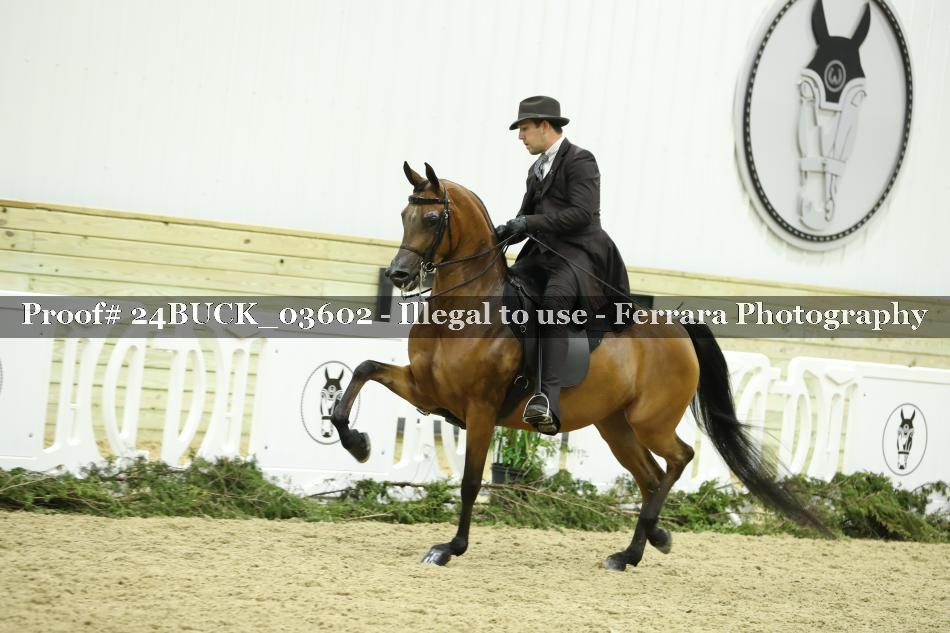 Proof 24BUCK_03602