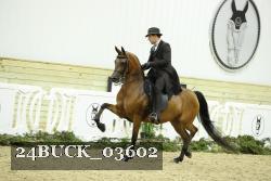 24BUCK_03602 proof