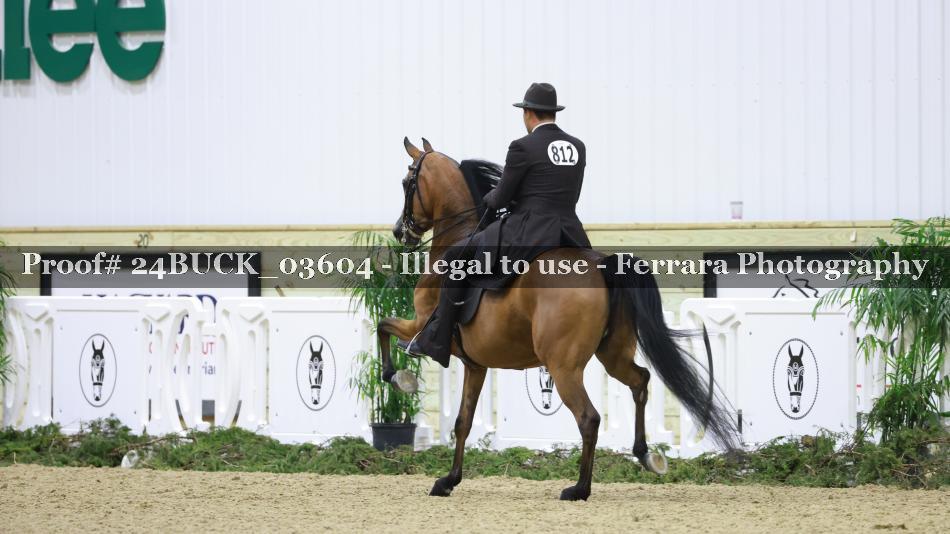 Proof 24BUCK_03604