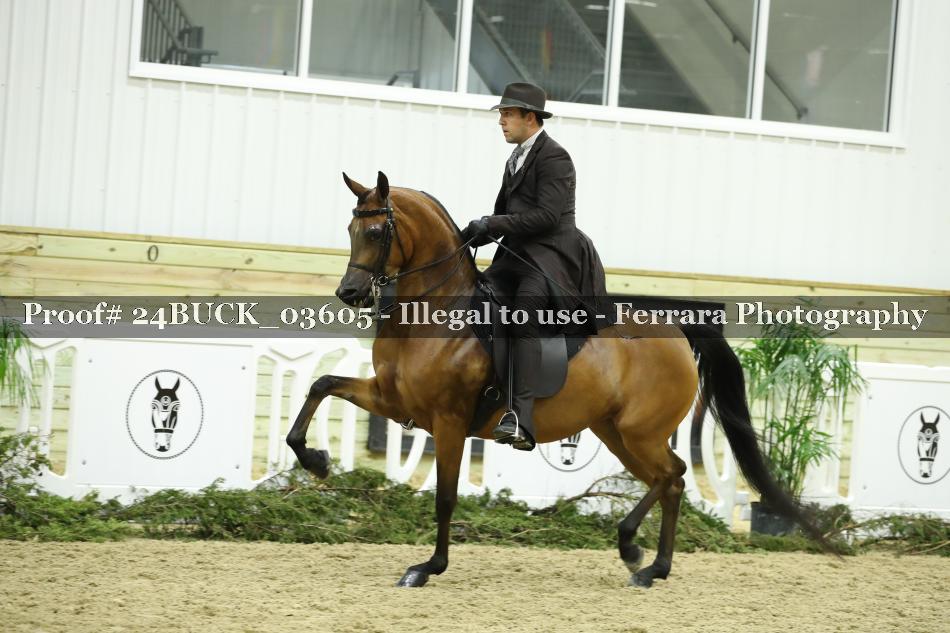 Proof 24BUCK_03605