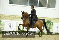 24BUCK_03605 proof