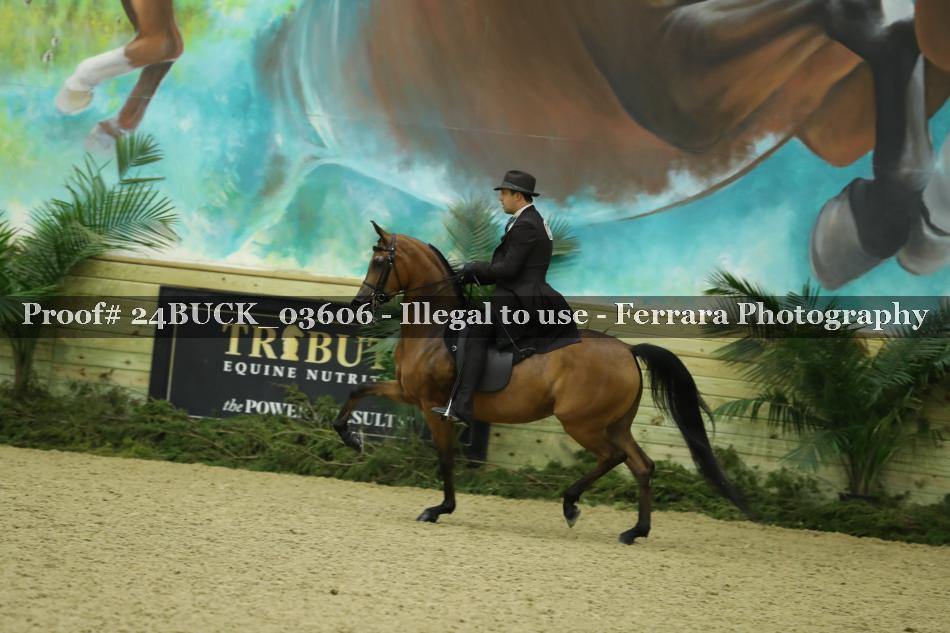 Proof 24BUCK_03606