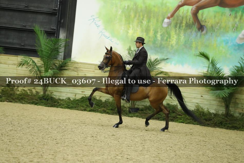 Proof 24BUCK_03607