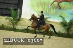 24BUCK_03607 proof