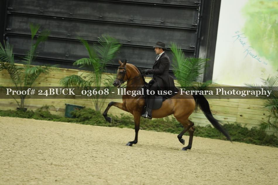 Proof 24BUCK_03608