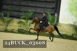 24BUCK_03608 proof
