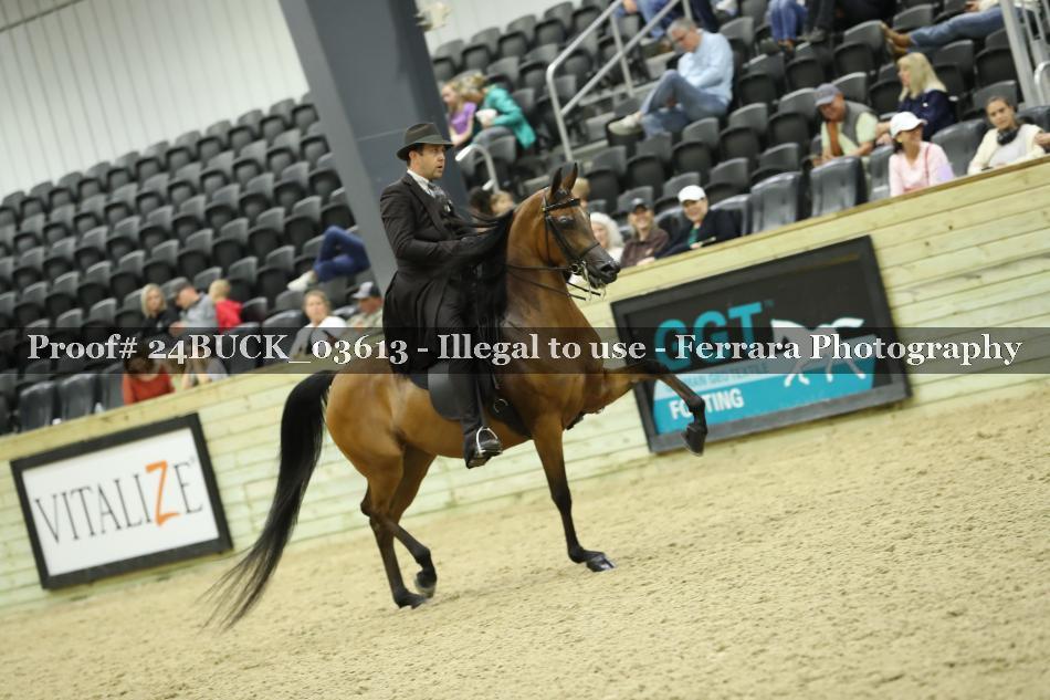 Proof 24BUCK_03613