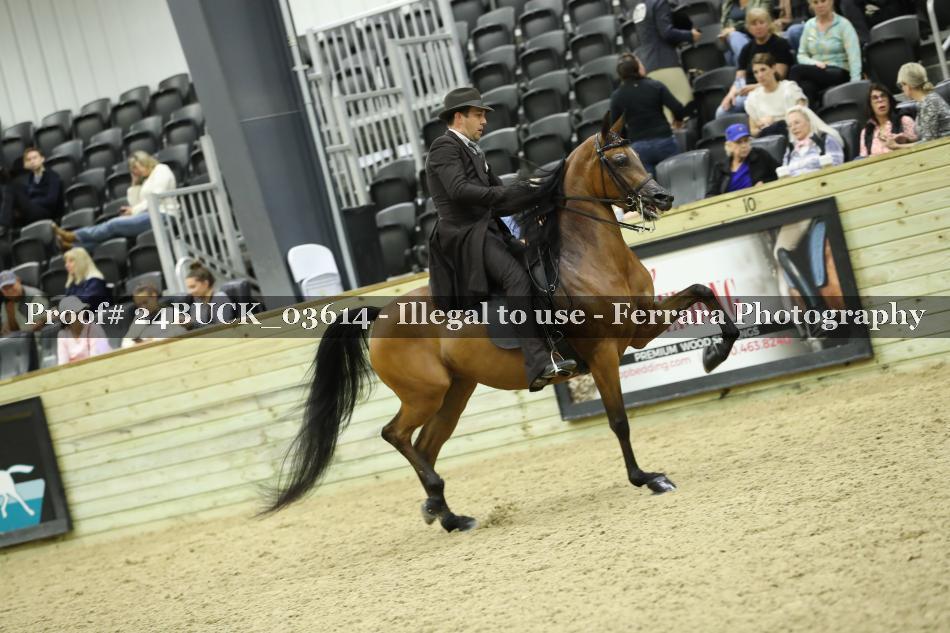 Proof 24BUCK_03614