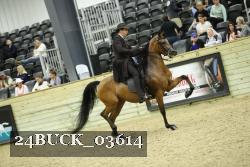 24BUCK_03614 proof