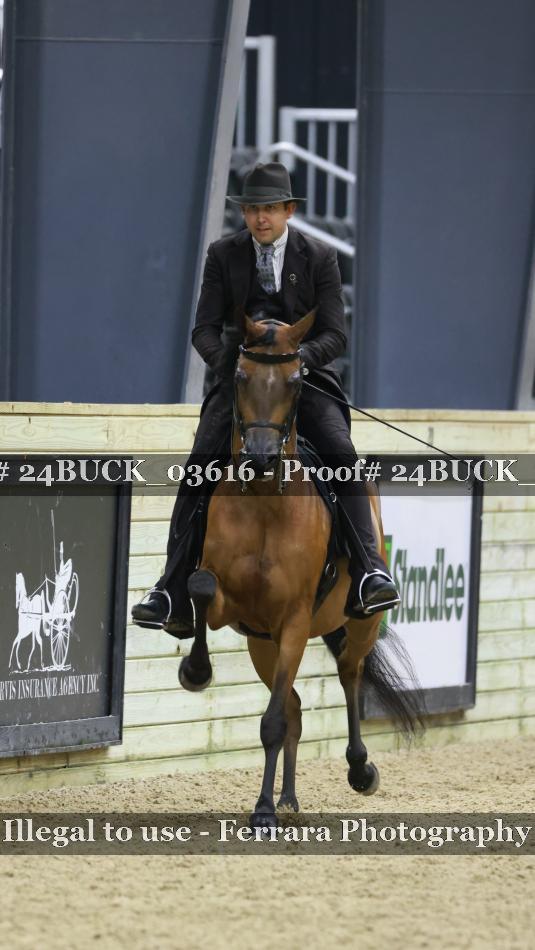 Proof 24BUCK_03616
