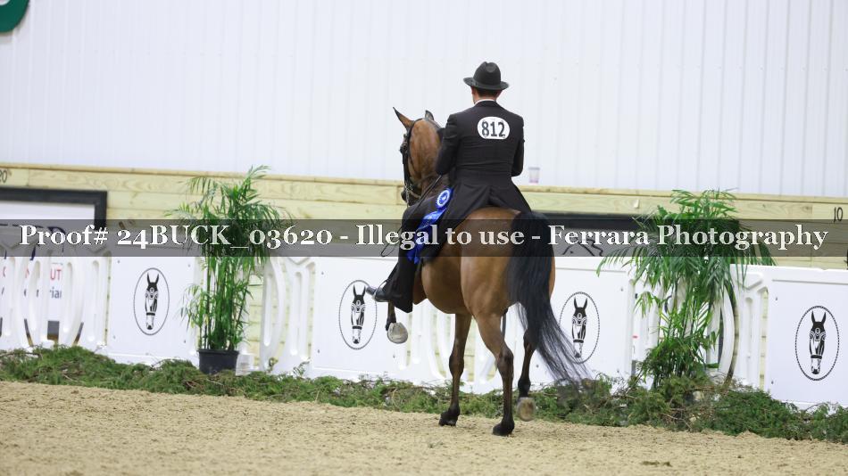 Proof 24BUCK_03620