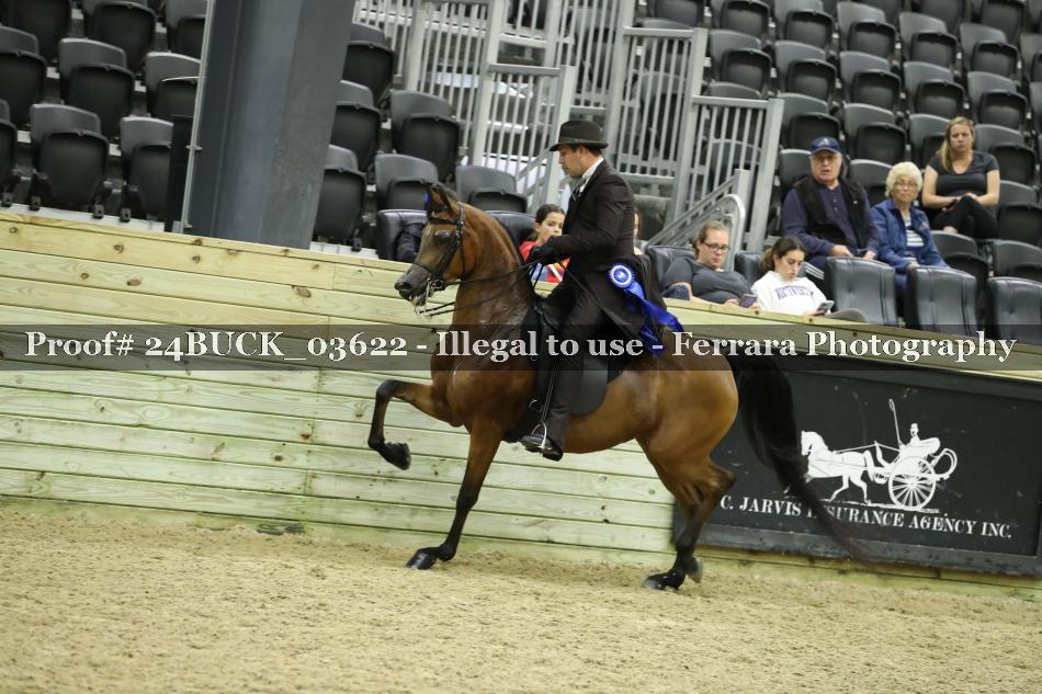 Proof 24BUCK_03622