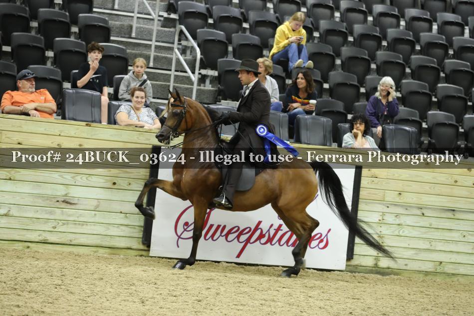 Proof 24BUCK_03624
