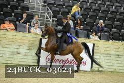 24BUCK_03624 proof