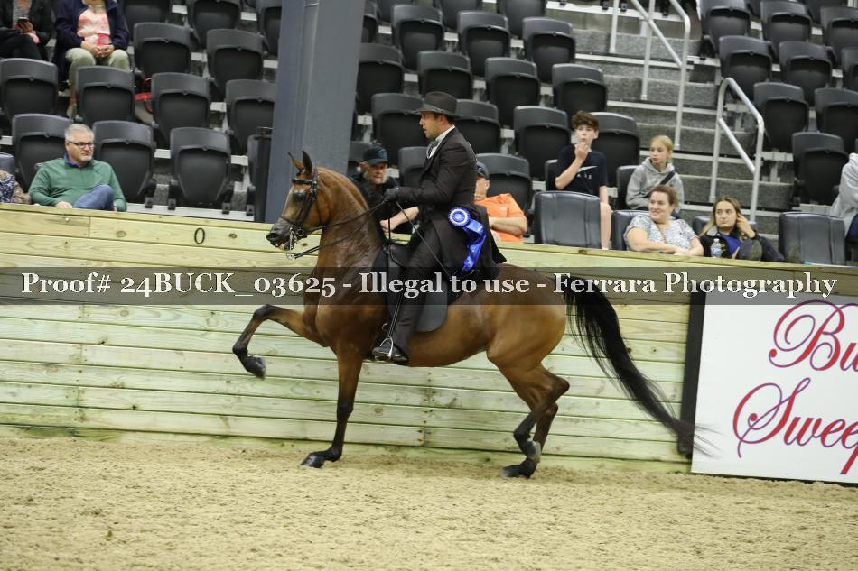 Proof 24BUCK_03625