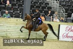 24BUCK_03625 proof