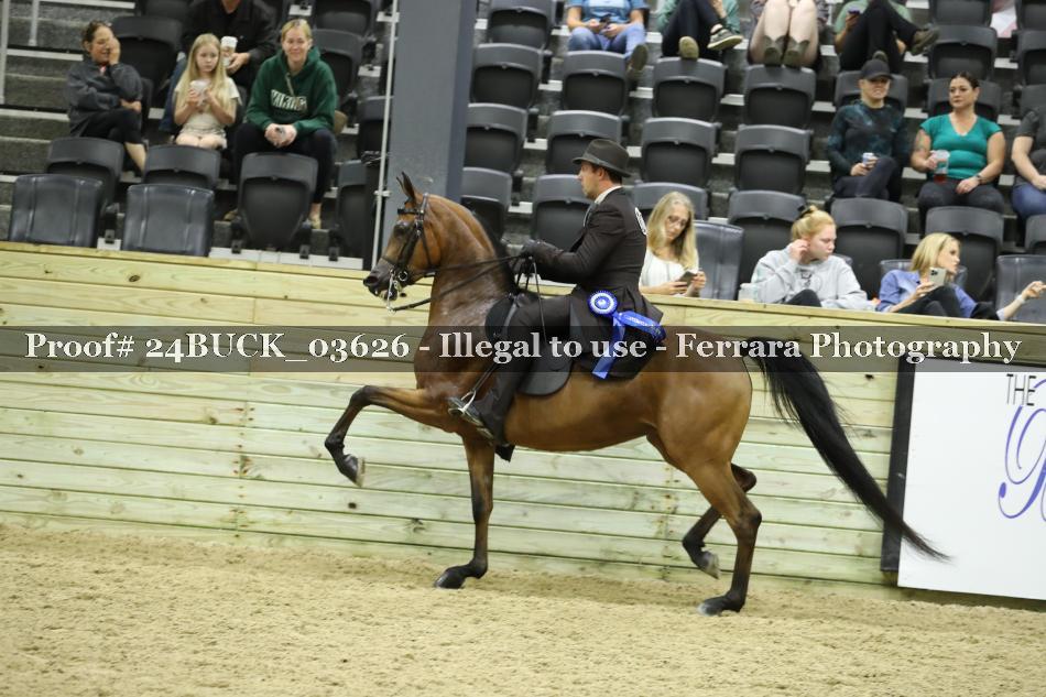 Proof 24BUCK_03626