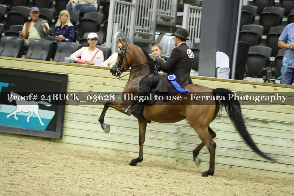 Proof 24BUCK_03628