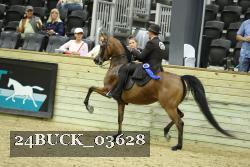 24BUCK_03628 proof