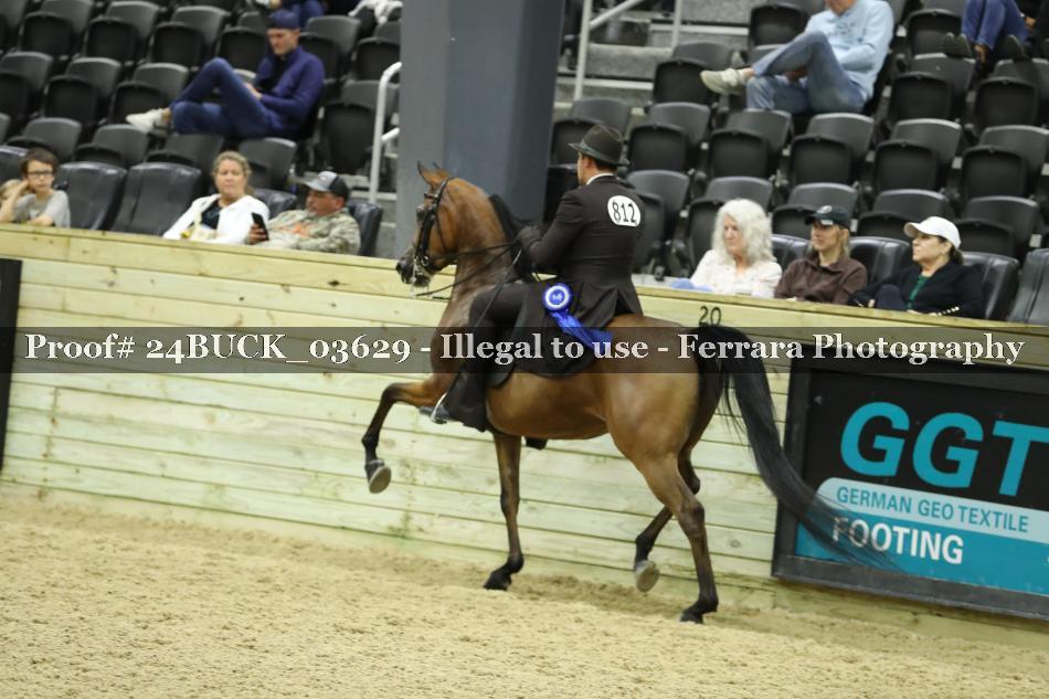 Proof 24BUCK_03629