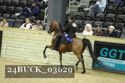 24BUCK_03629 proof