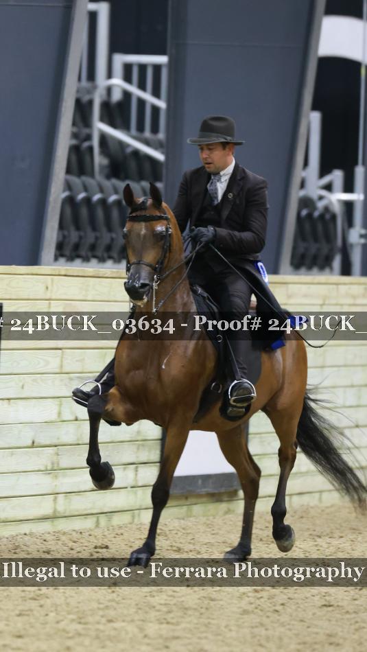 Proof 24BUCK_03634