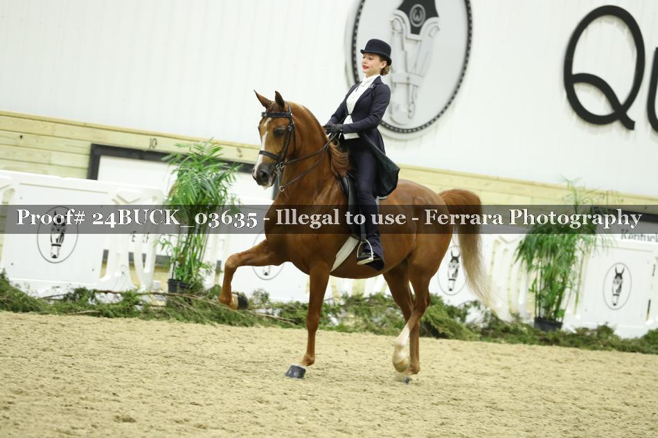 Proof 24BUCK_03635