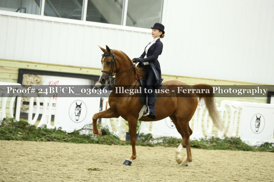 Proof 24BUCK_03636