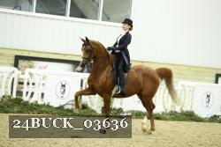 24BUCK_03636 proof