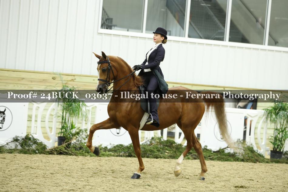 Proof 24BUCK_03637