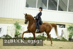 24BUCK_03637 proof