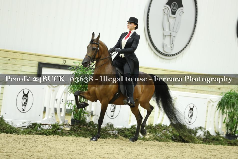 Proof 24BUCK_03638