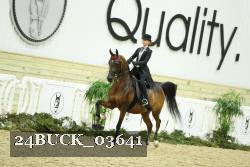 24BUCK_03641 proof