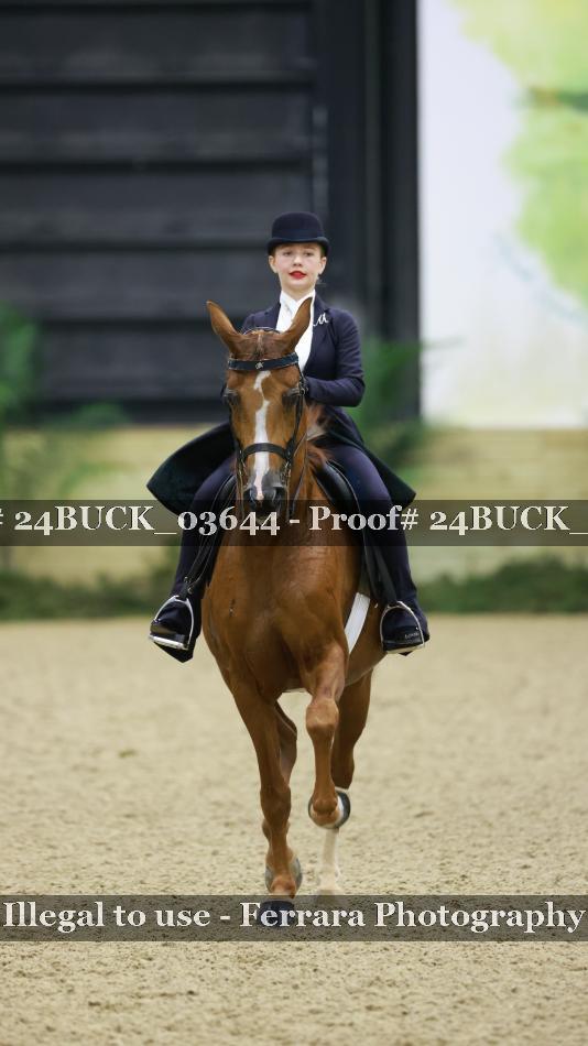 Proof 24BUCK_03644