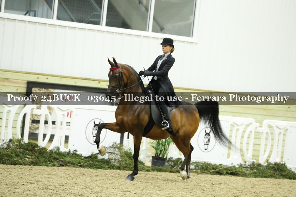 Proof 24BUCK_03645
