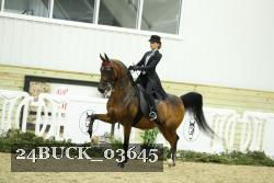 24BUCK_03645 proof