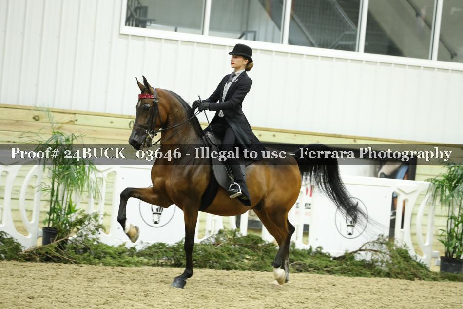 Proof 24BUCK_03646