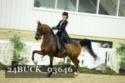 24BUCK_03646 proof